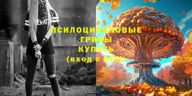 Псилоцибиновые грибы Psilocybe  Тырныауз 